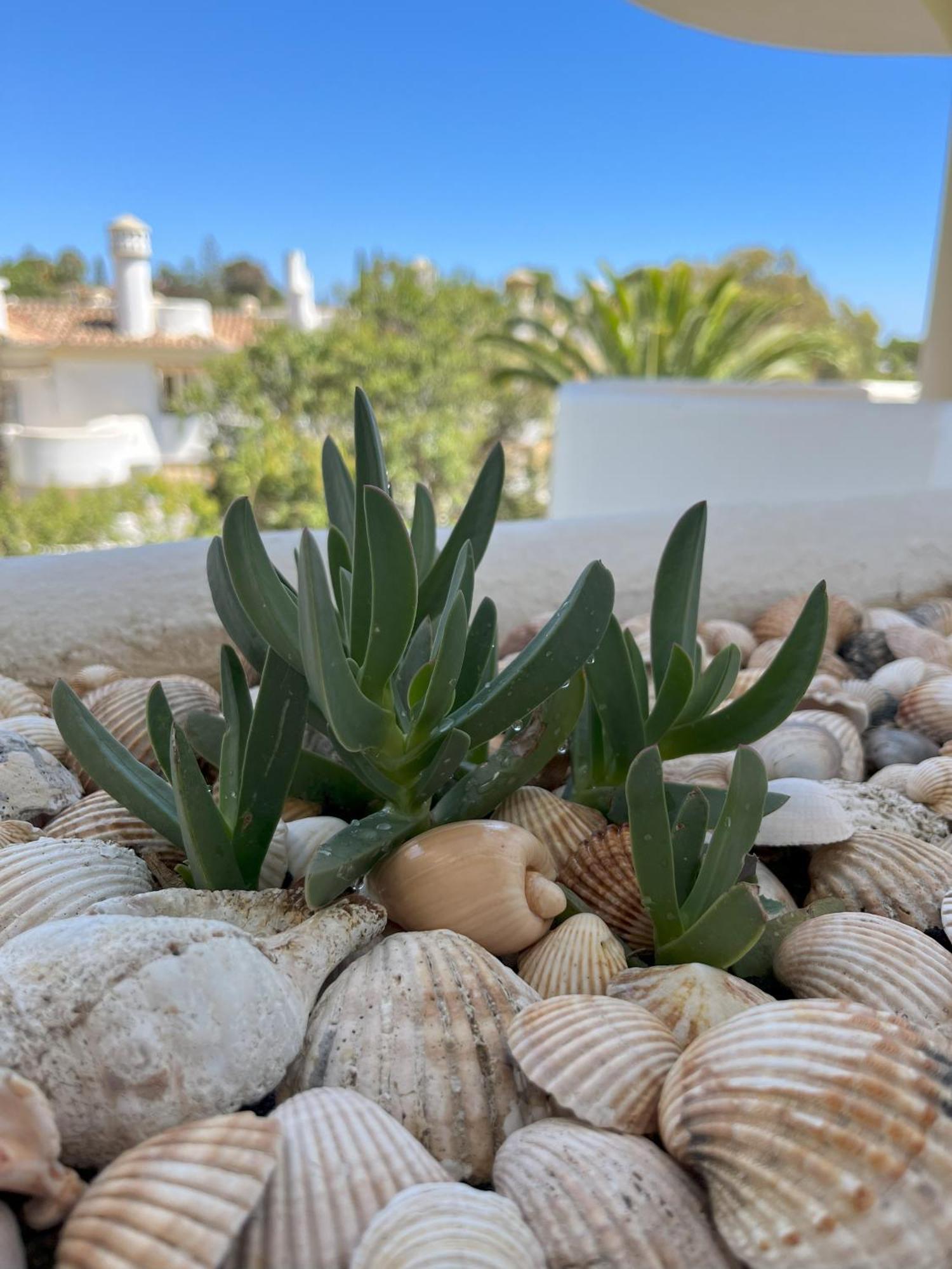 Casadeleon - Costadelsol Vacations & Remote Work Ситио-де-Калаонда Экстерьер фото
