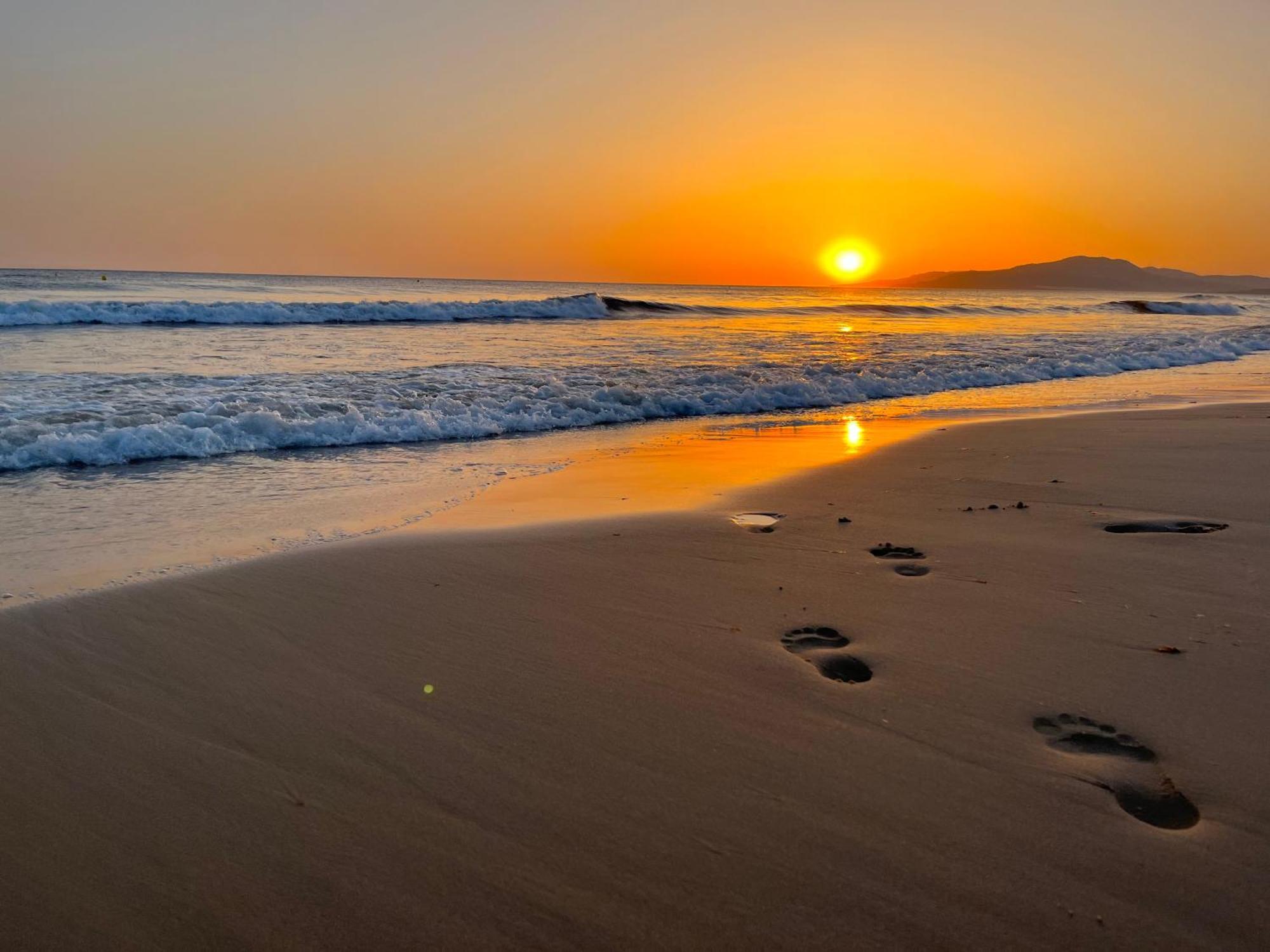 Casadeleon - Costadelsol Vacations & Remote Work Ситио-де-Калаонда Экстерьер фото